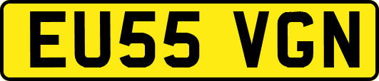 EU55VGN