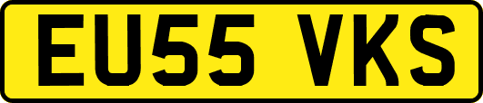 EU55VKS