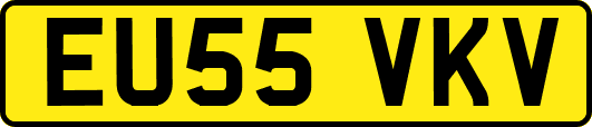 EU55VKV