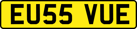 EU55VUE