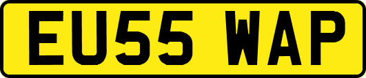 EU55WAP