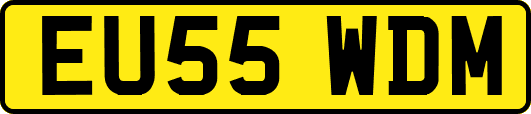 EU55WDM