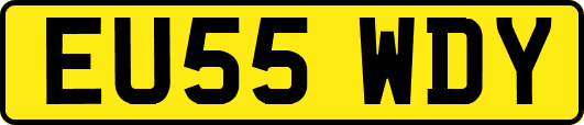 EU55WDY