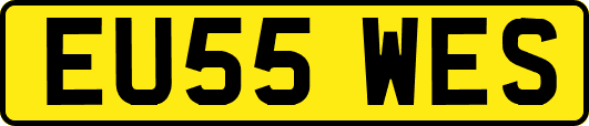 EU55WES