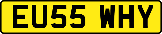EU55WHY