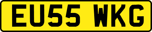 EU55WKG