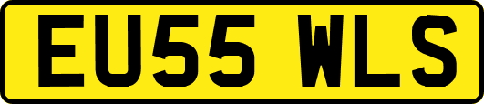 EU55WLS
