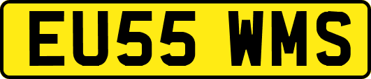 EU55WMS