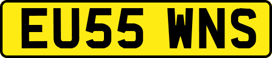 EU55WNS
