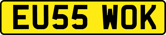 EU55WOK
