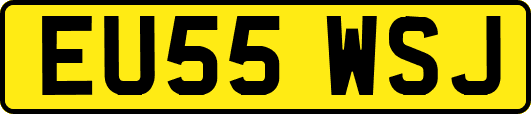EU55WSJ