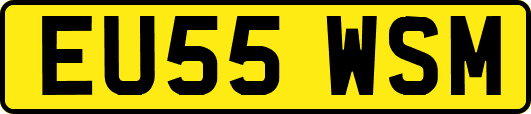EU55WSM
