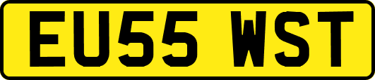 EU55WST