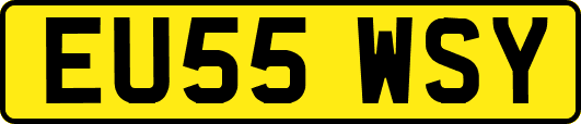 EU55WSY