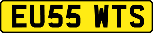 EU55WTS