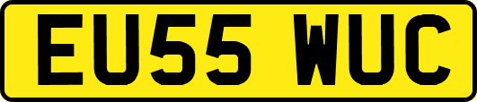 EU55WUC