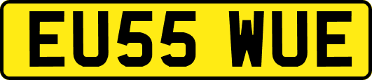 EU55WUE