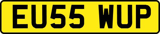 EU55WUP