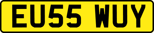 EU55WUY
