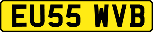 EU55WVB