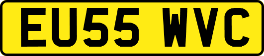 EU55WVC
