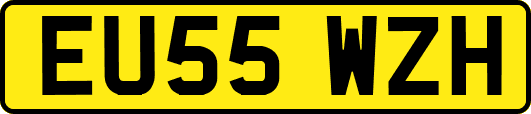 EU55WZH