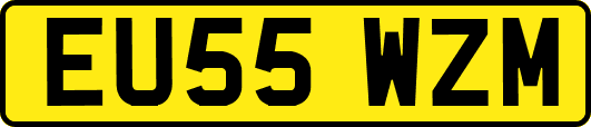 EU55WZM