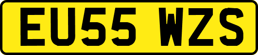 EU55WZS