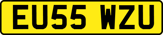 EU55WZU