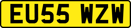EU55WZW