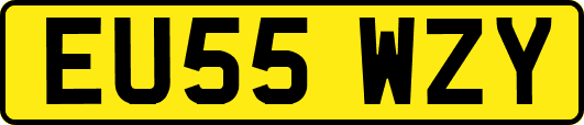 EU55WZY
