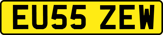 EU55ZEW