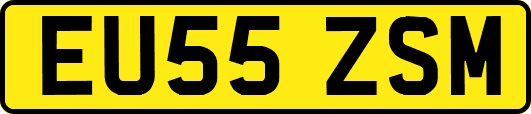 EU55ZSM