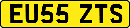 EU55ZTS