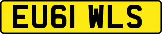 EU61WLS