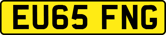 EU65FNG