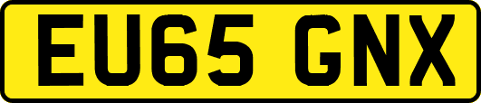 EU65GNX