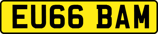 EU66BAM