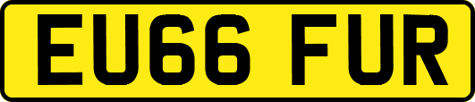 EU66FUR
