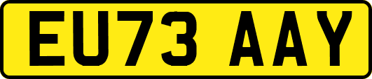 EU73AAY