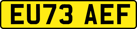 EU73AEF