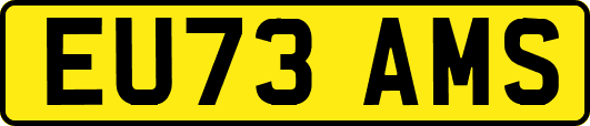 EU73AMS