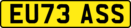 EU73ASS