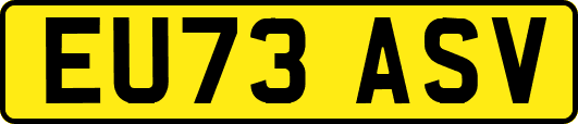 EU73ASV