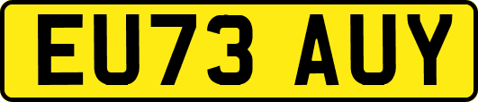 EU73AUY