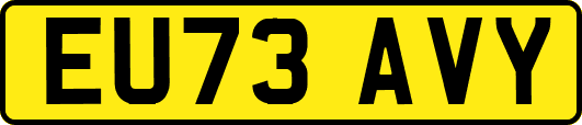 EU73AVY