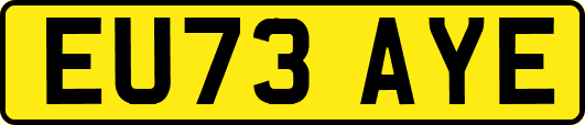 EU73AYE