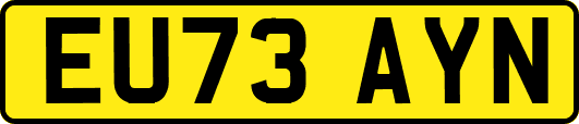 EU73AYN