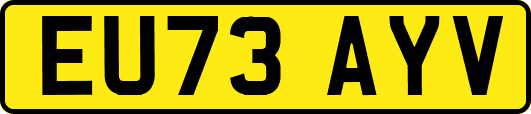 EU73AYV