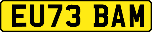EU73BAM